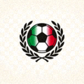 意甲联赛官方Logo